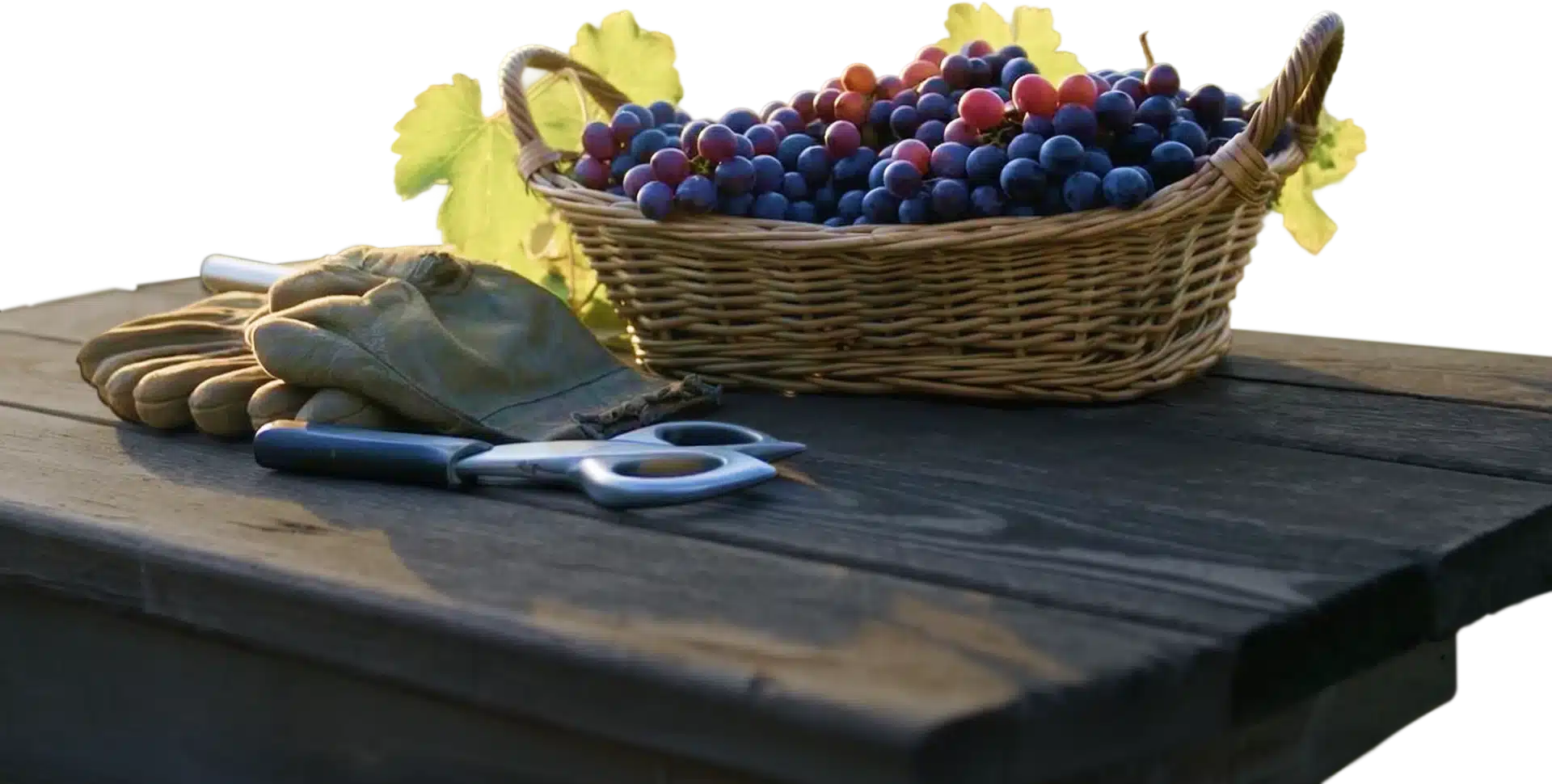table grapes